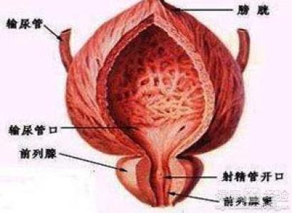 如何按摩男性前列腺，一種健康護(hù)理的指南，男性前列腺按摩指南，健康護(hù)理的秘訣