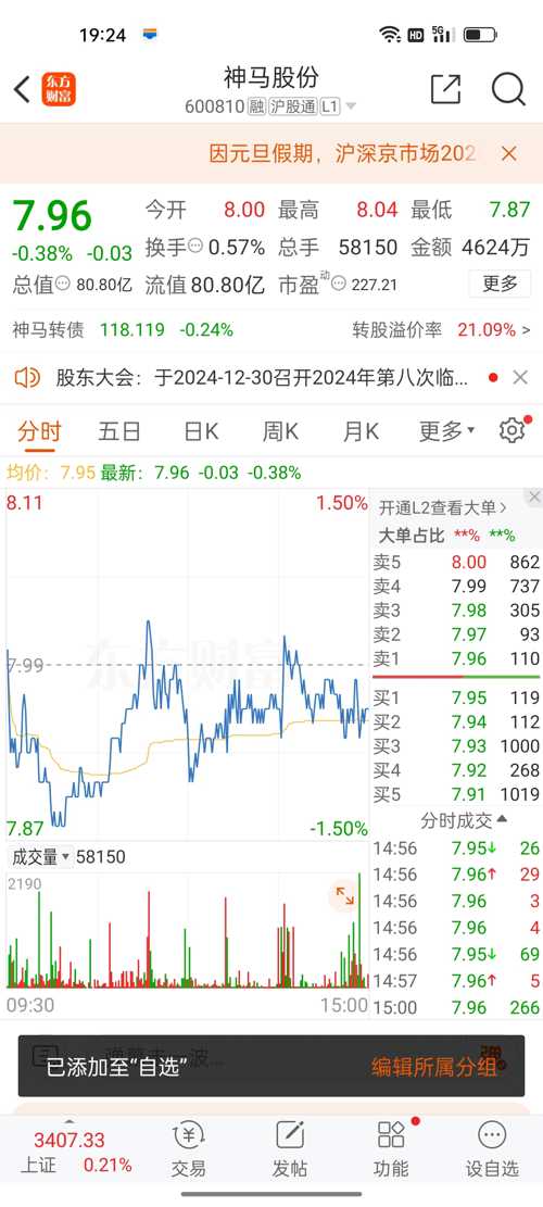 神馬股份（股票代碼，600810）股吧深度解析，神馬股份（股票代碼，600810）股吧全面深度解析