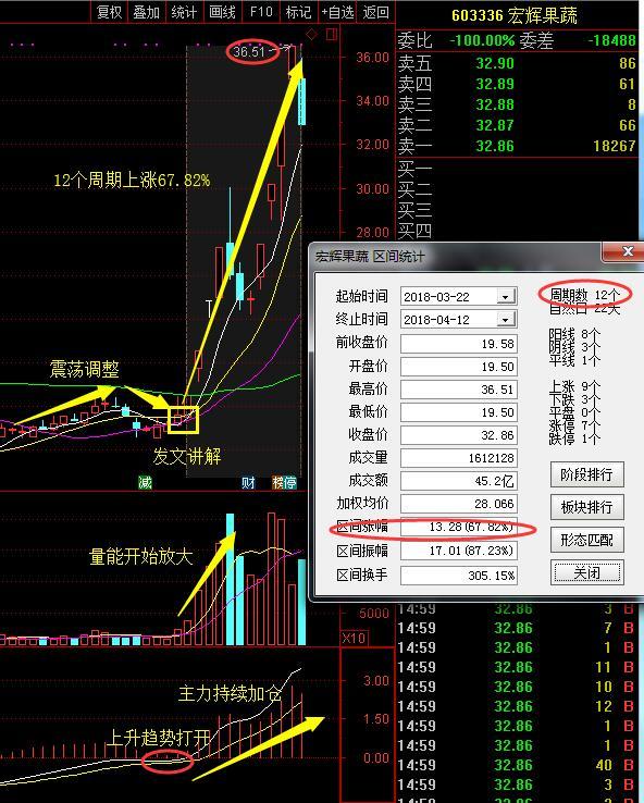 股票603336，深度解析與前景展望，股票603336深度解析與前景展望，投資視角分析